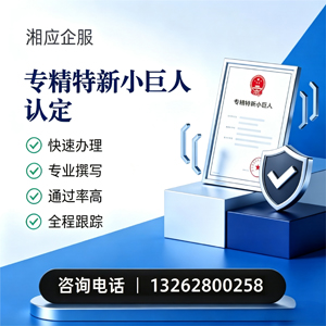 平顶山专精特新小巨人申报服务