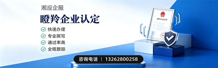 平顶山瞪羚企业认定申报服务