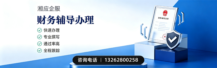 平顶山财务辅导申请服务