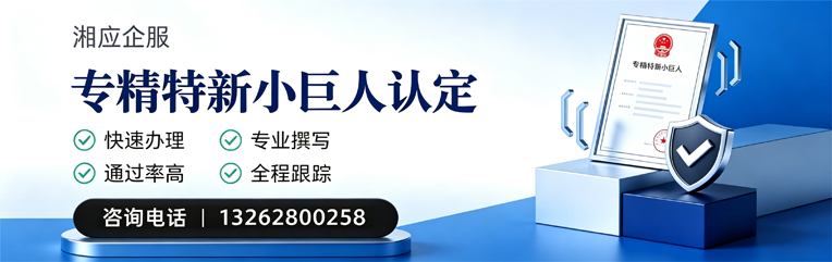 平顶山专精特新小巨人申报服务